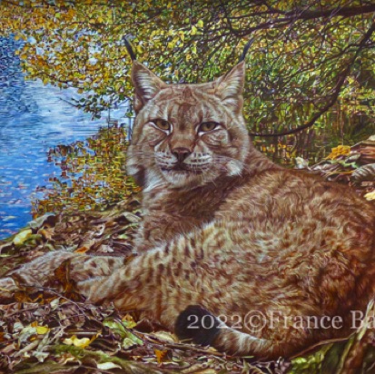 Autumn Prince - 232 hours
Brown Colourfix Smooth paper
26.5" x 18.5"
Ref: Anne Noël (lynx & foreground)